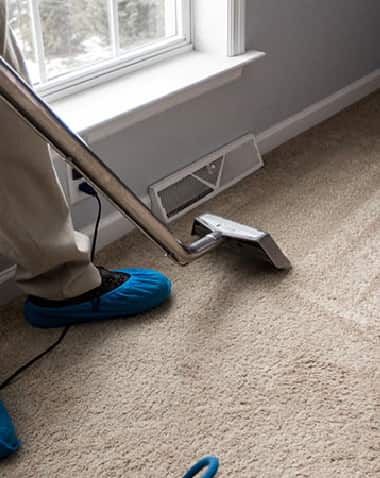 Professional Carpet Cleaning Darlinghurst